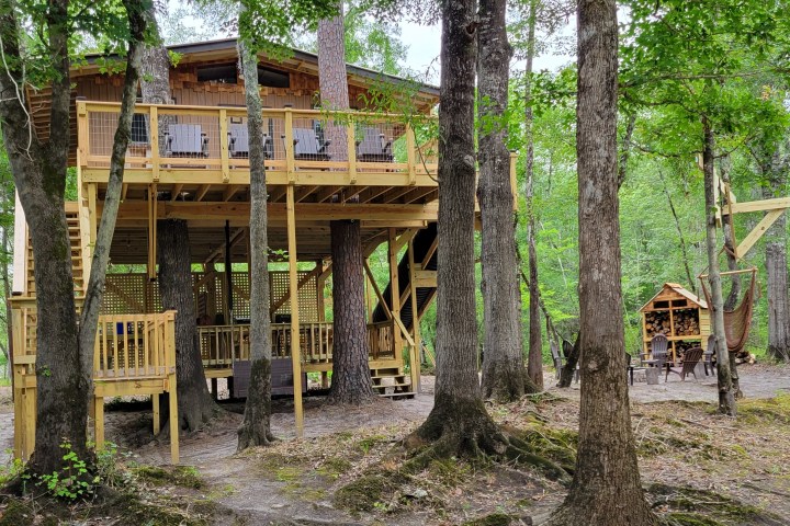 Treehouse with wooden deck in forest surroundings, elevated on stilts.