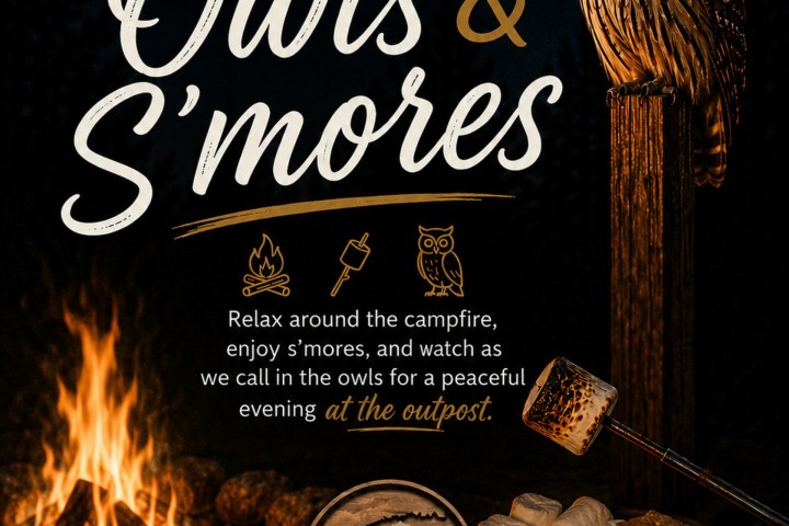 Poster for River Island Adventures featuring an owl, campfire, and s'mores advertisement.