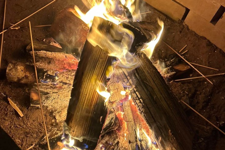 Firewood burning in a fire pit surrounded by bricks.